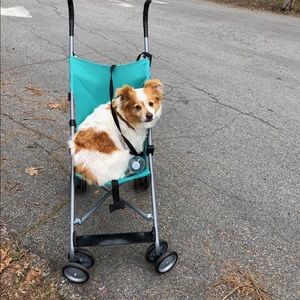 Meet your Posher, Andrew